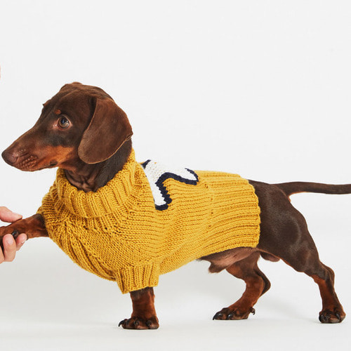 Dog Days Sweater Kit